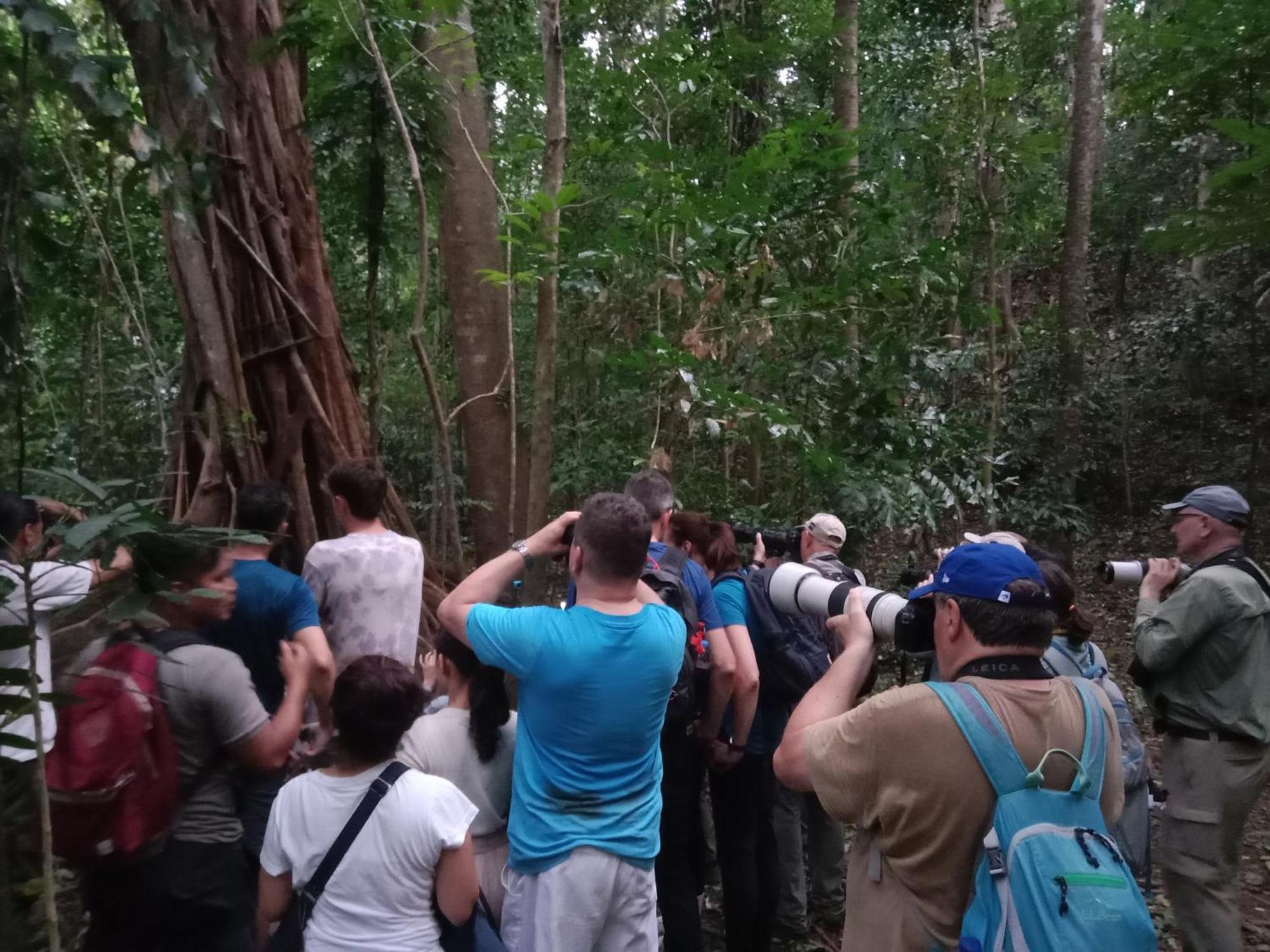 Tangkoko Backpacker Home Stay Rinondoran Luaran gambar