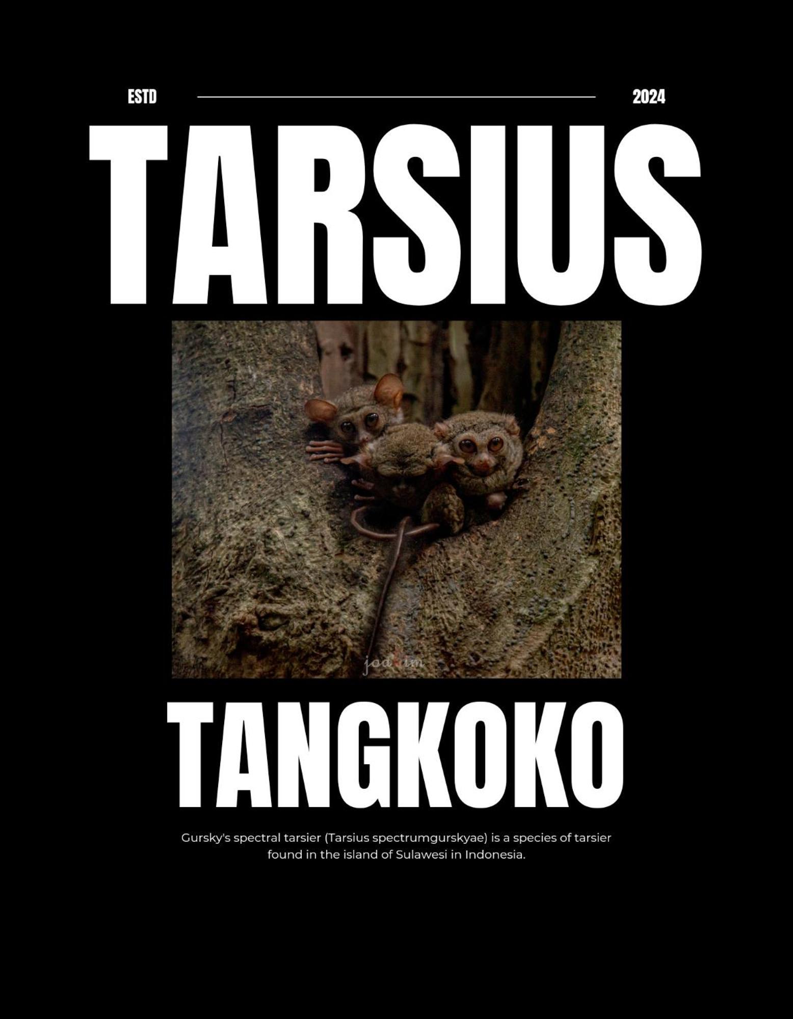 Tangkoko Backpacker Home Stay Rinondoran Luaran gambar